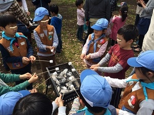 BVS 150412-07.jpg