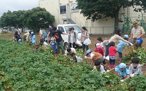 03_170618_掘ってます00.jpg