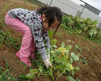 05_170618_掘ってます01.jpg