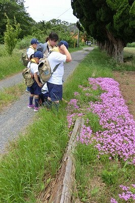 20190601_7.jpg