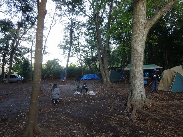 DSC00218.jpg