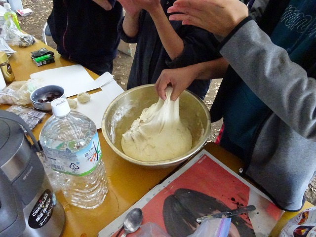 DSC00226.jpg