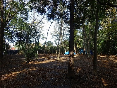 DSC00298.jpg