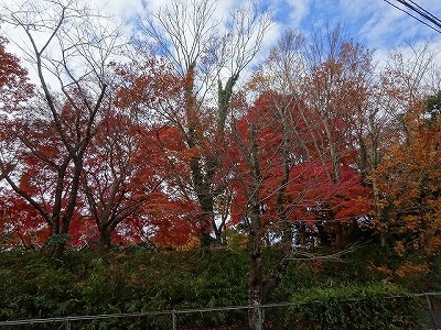 DSC00345.jpg