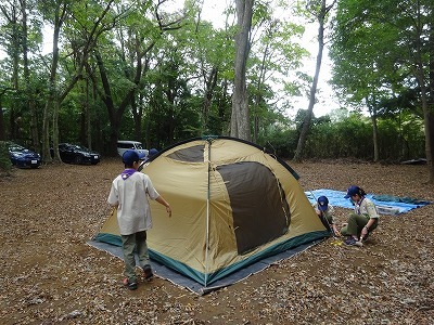 DSC01763.jpg