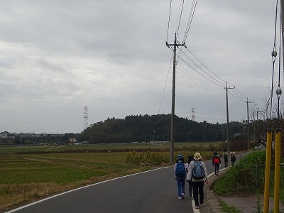 DSC01837.jpg