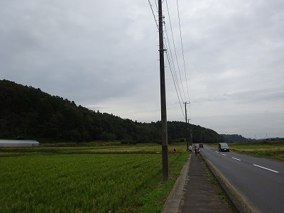 DSC01843.jpg