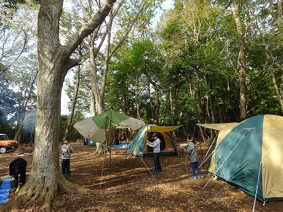 DSC01858.jpg