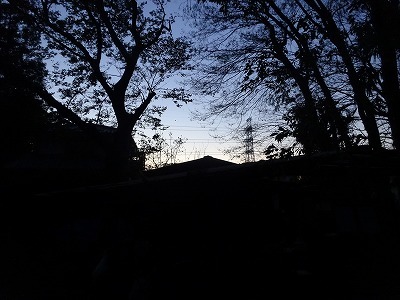 DSC01916.jpg