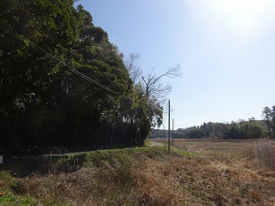 DSC02316.jpg