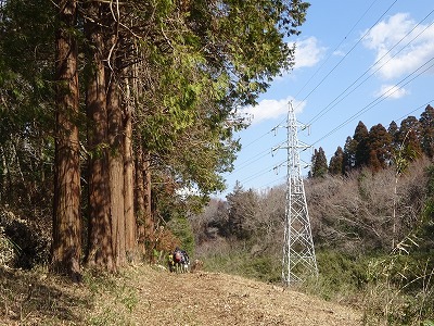 DSC02328.jpg