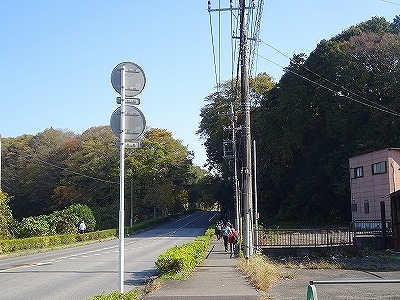 DSC02983.jpg