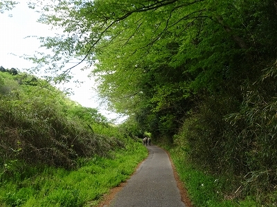 DSC03195.jpg