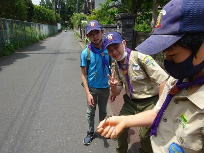 DSC03552.jpg