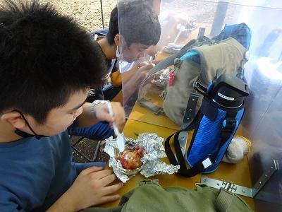 DSC03656.jpg