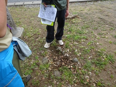 DSC04313.jpg