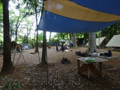 DSC05082.jpg