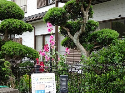 DSC05172.jpg