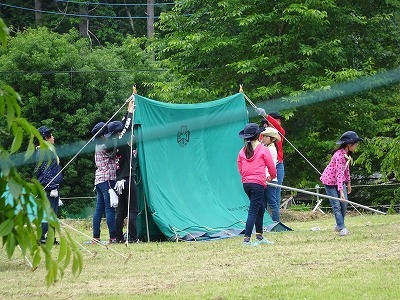 DSC05183.jpg