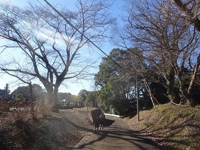 DSC05245.jpg