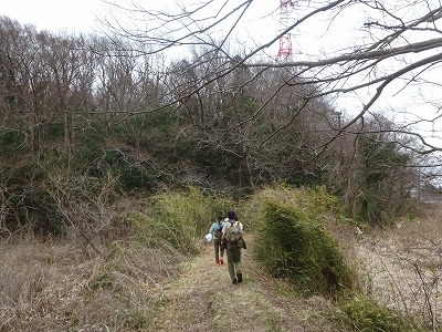 DSC05336.jpg