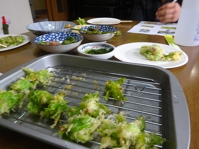 DSC05367.jpg