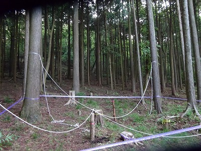 DSC06007.jpg