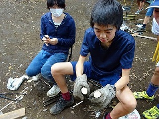 DSC10003.jpg
