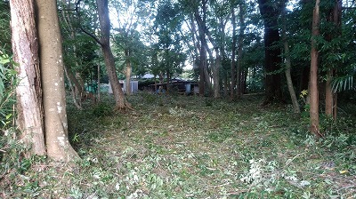 DSC_0926.jpg