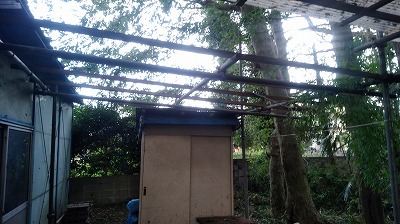 DSC_0930.jpg