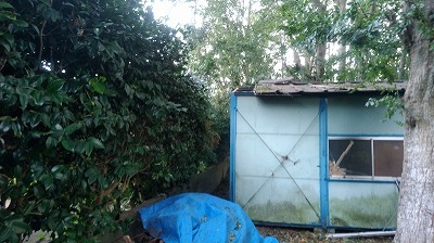 DSC_0931.jpg