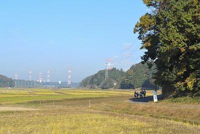 DSC_4589_00001.jpg