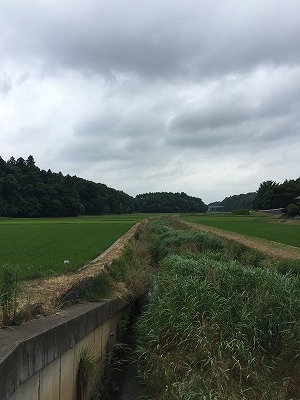 IMG_1402.jpg