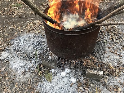 IMG_2018.jpg